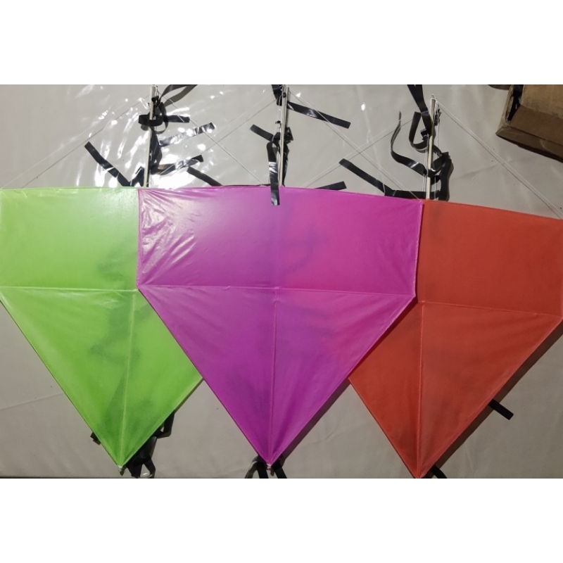 Pipa vanda de 50 cm com rabiola 25 unidades | Shopee Brasil