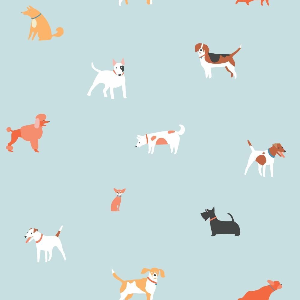 Papel de Parede Pet Infantil Dog Fundo Verde Cachorros Adesivo Fácil Aplicação