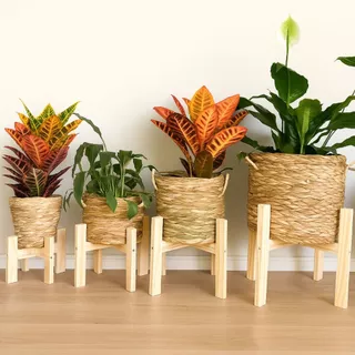 Suporte De Madeira Pinus Para Vaso De Planta Decoração Enfeite Ambiente Verde