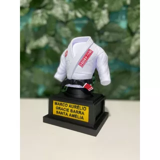 Troféu Kimono Jiu-jitsu 16cm Personaliza Equipe Faixa com graus e Nome + Brinde chaveiro