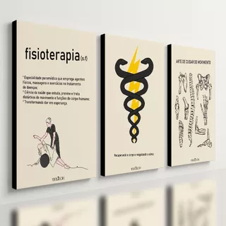 Kit 3 Quadro Decorativo Fisioterapia Consultório Clínica Mdf