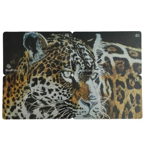 CC071 - Onça Pintada | Coleção Completa| 4 Cartões | Cartão