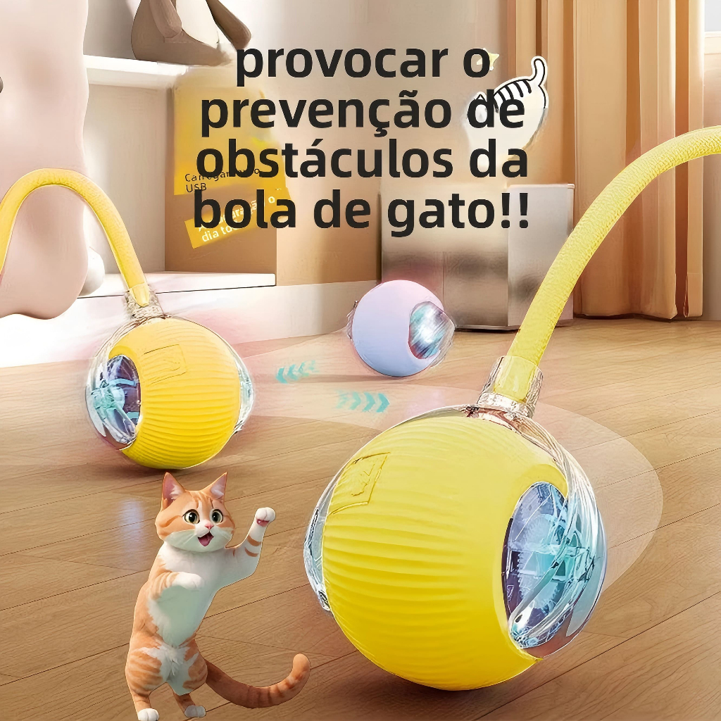 Cats & Dogs | Shopee Brasil
