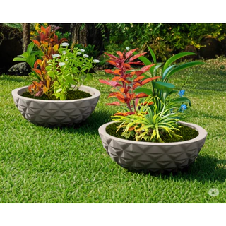 Vaso para plantas modelo Bacia Berlian Gold