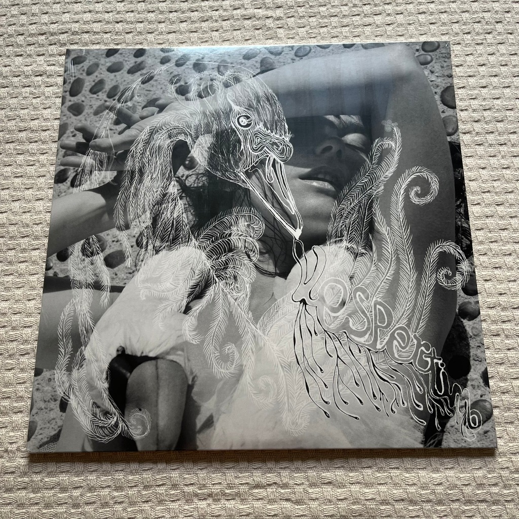 LP Vespertine - Bjork (Vinil duplo) Lacrado | Shopee Brasil