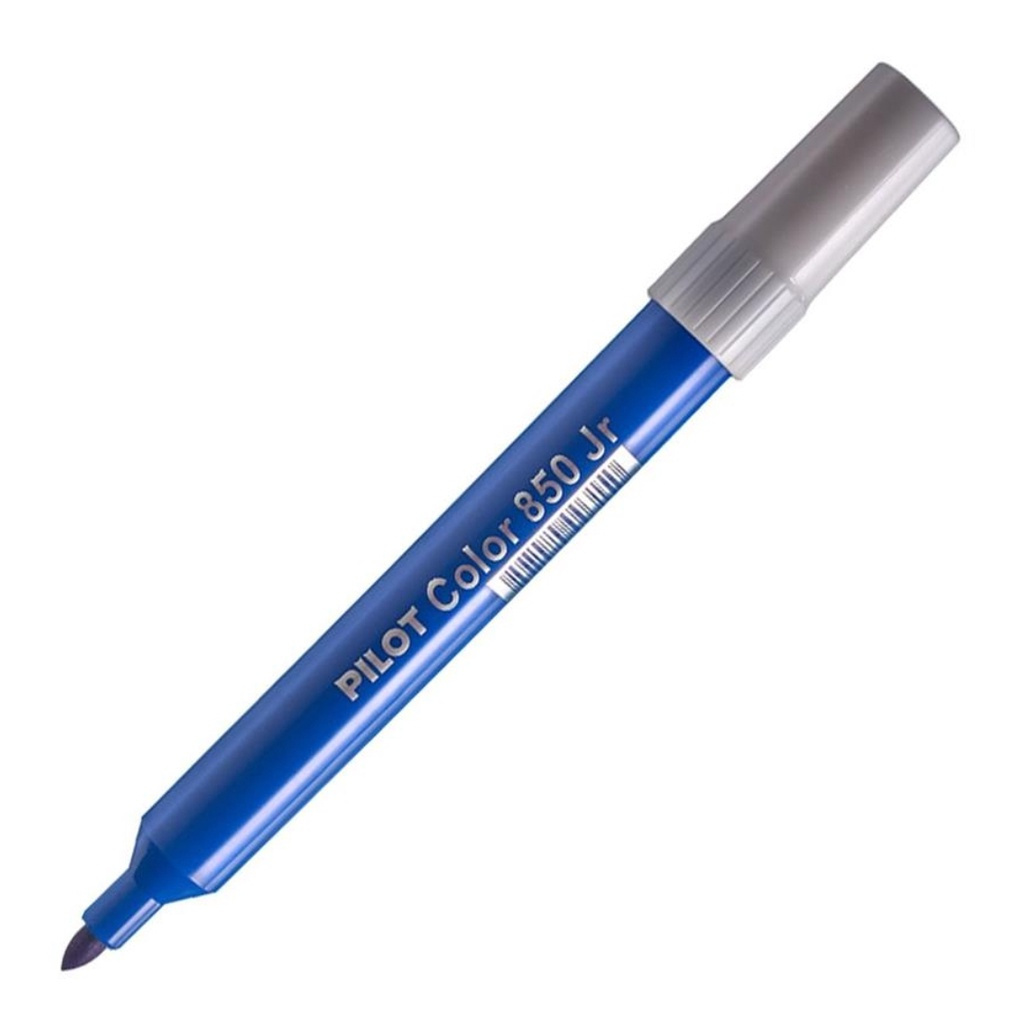 Caneta Hidrográfica Color 850 Jr - Pilot | Shopee Brasil