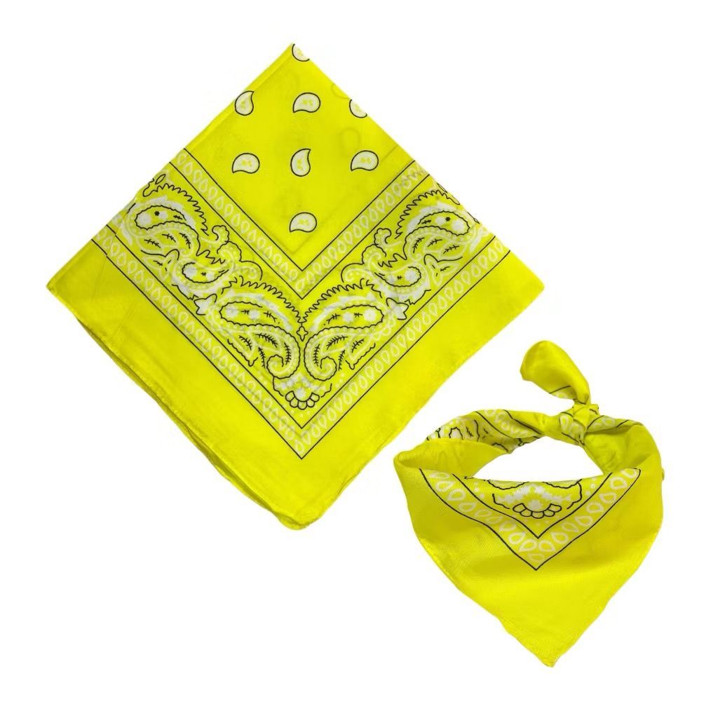 Bandana Lenço Coloridos Versátil Cowboy Masculino E Feminino