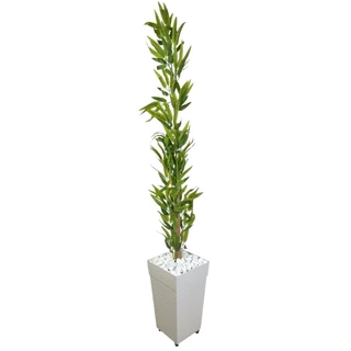 Planta Artificial Bambu Mosso Da Sorte Com Vaso Grande Decorativo 1,40 Metro Decoração Enfeite Sala Casa