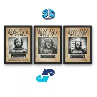 Quadro 3D Harry Potter - Prisioneiro de Azkaban Have you seen the wizard? Sirius Black