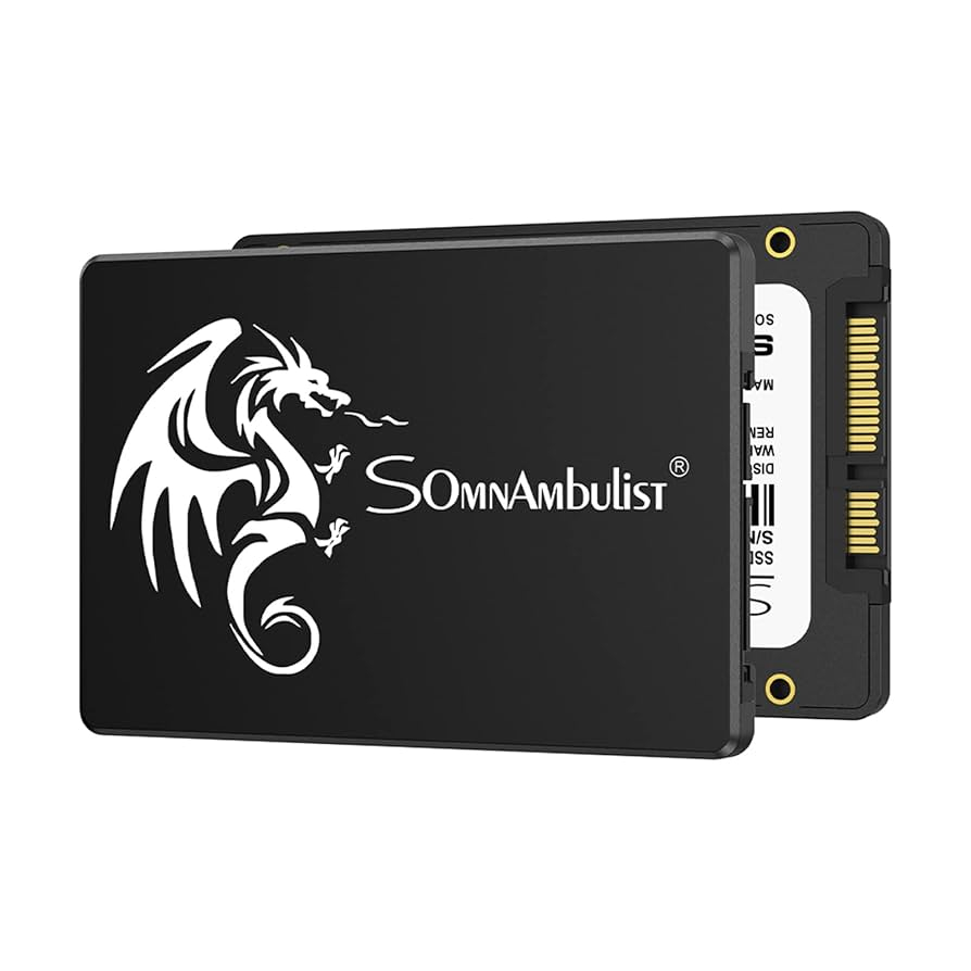 SSD 256GB - SomnAmbulist - H650 2.5