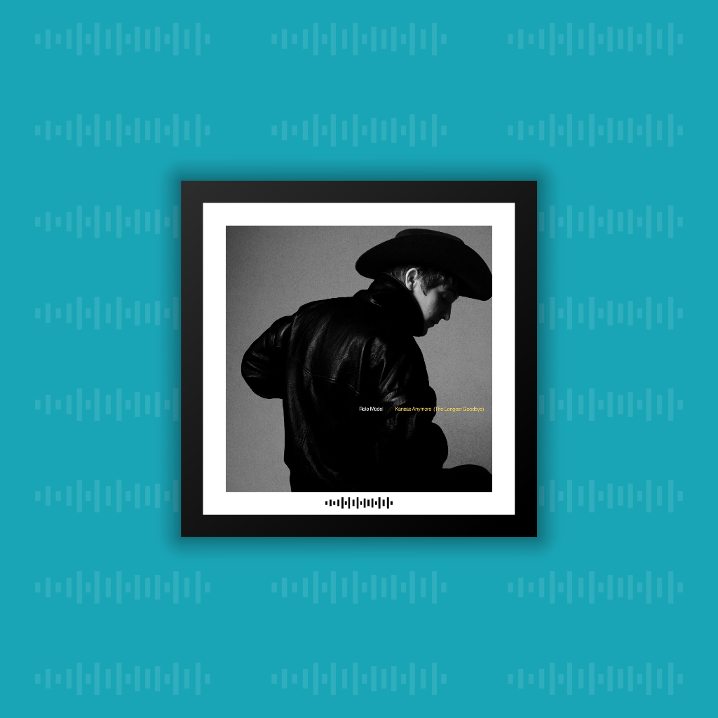 Quadro Álbum Decorativo - ROLE MODEL | Shopee Brasil