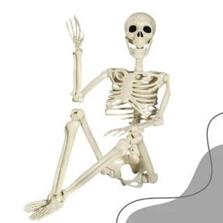 Caveira Decoração Porta e Outros Halloween e Anatomia Com Ossos Articulados Festas e Cosplay