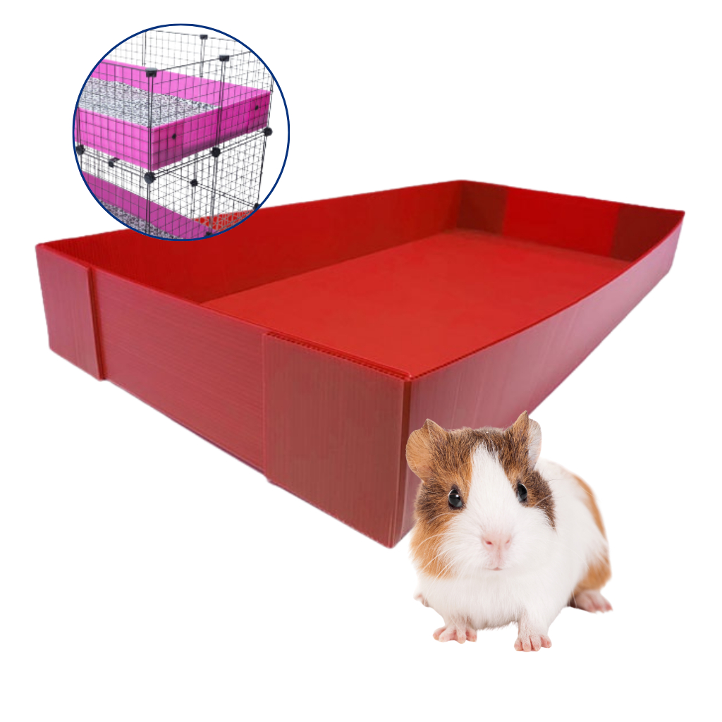 Caixa Polionda Para Cercado e Gaiolas | Shopee Brasil