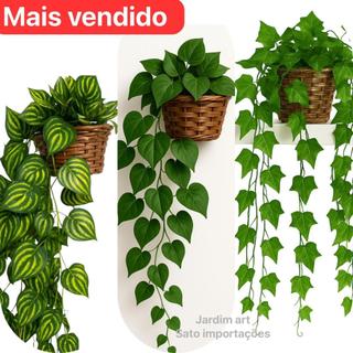 Arranjo Trepadeira HERA + Vaso