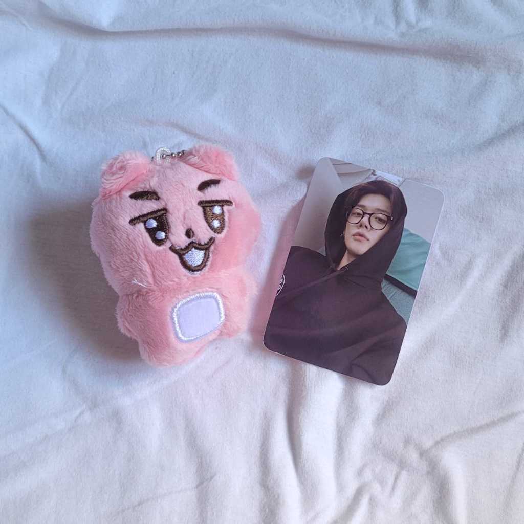 Pelúcias TXT com card frente e verso plastificado Kpop pc fanmade