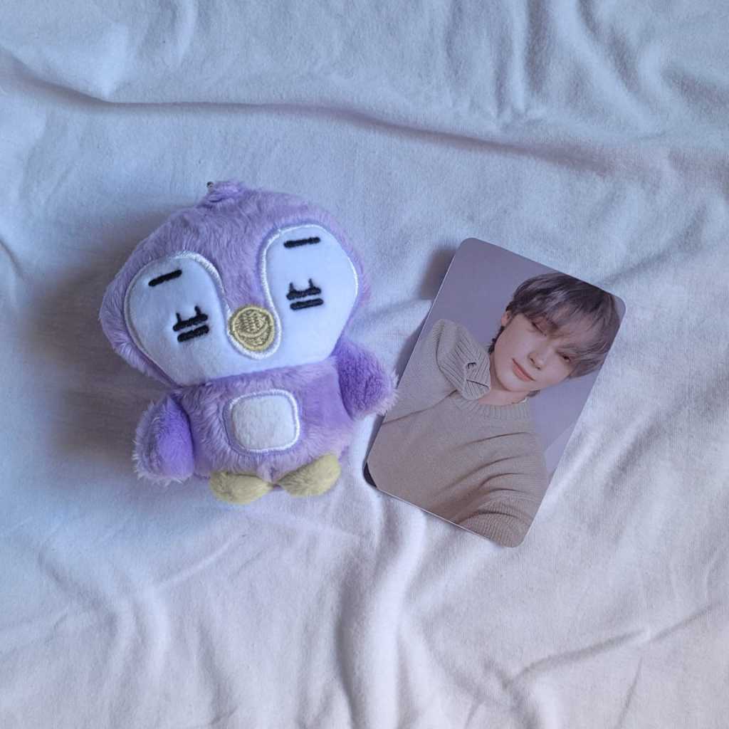 Pelúcias TXT com card frente e verso plastificado Kpop pc fanmade