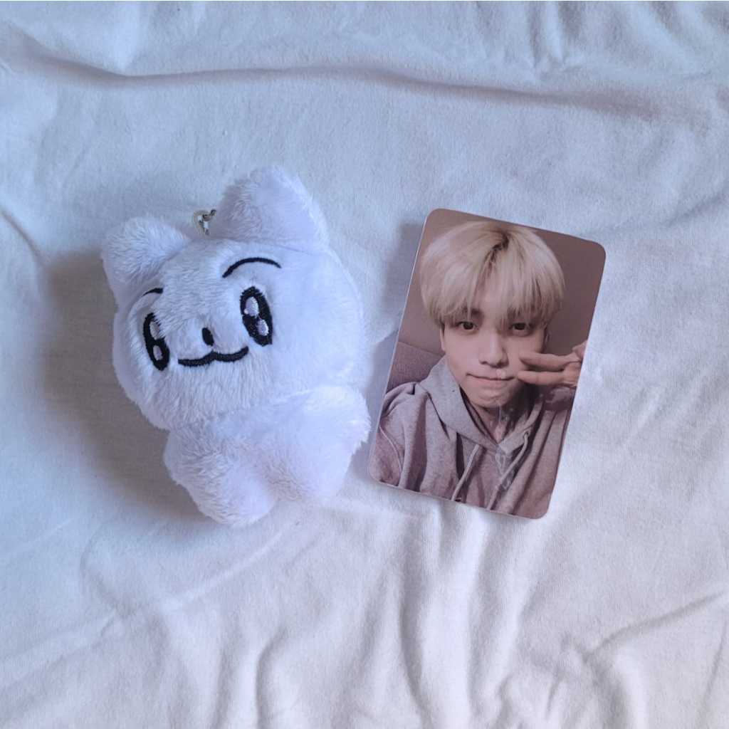 txt SHOPEE kpopmerch 50枚 Pelúcias TXT com card frente e verso plastificado Kpop pc fanmade