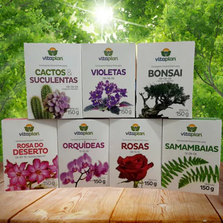 Kit Fertilizantes Cactos e Suculentas, Samambaia, Rosa do Deserto, Rosas e Orquídeas 150gr Vitaplan