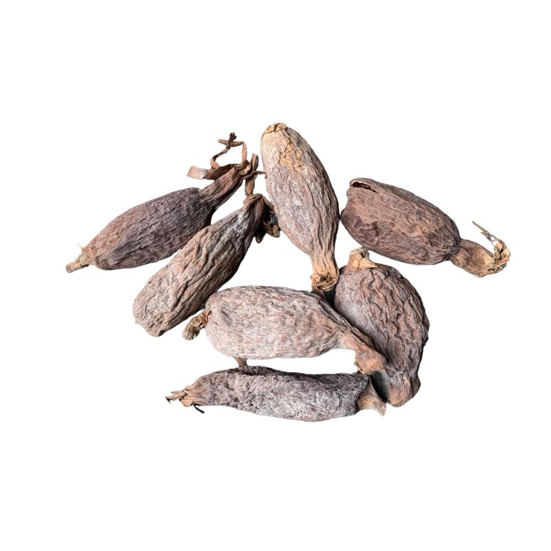 Atare africano - Fava de Atare africano - pimenta da costa 5 unidades ...