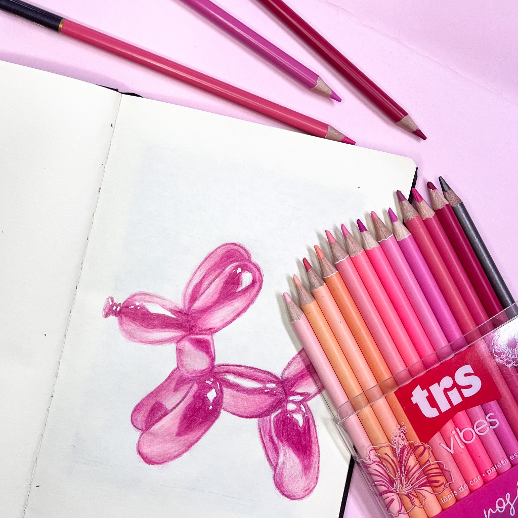 Lápis de Cor Vibes Tons Rosé - Tons de rosa 12 Cores + 1 Lápis 6B ...