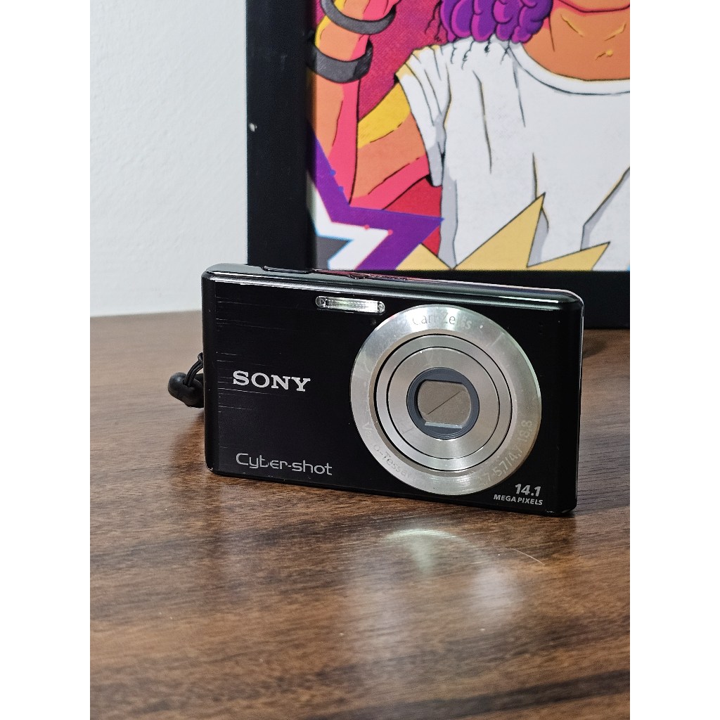 Câmera Digital Sony Cyber-shot DSC-W530 14.1MP com Cartão 2GB e
