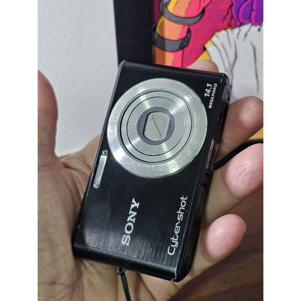 Câmera Digital Sony Cyber-shot DSC-W530 14.1MP com Cartão 2GB e