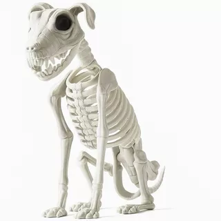 Esqueleto Cachorro Asustador Caveira 43cm Terror Decoração Enfeite Festa Halloween Dia Das Bruxas