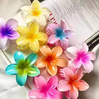 Kits até 12 peças – Grampos/Piranhas de Cabelo Flor de Feriado de Praia – Barrettes / eviamos cor aleatrio
