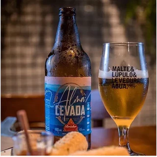 Cerveja Bruder Alma Cevada Low Carb Zero Açúcar Pack 6 un 600 ml – Leve, Refrescante e Sem Culpa