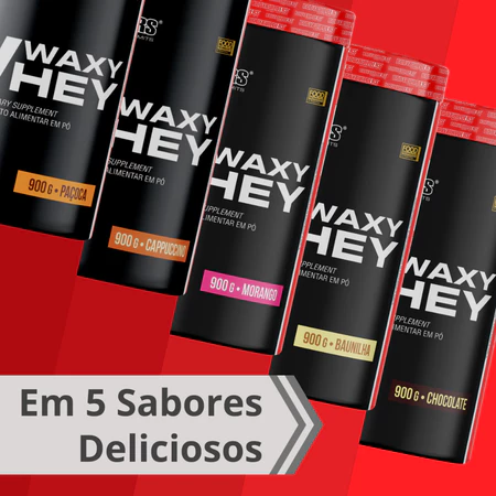 Kit 2x Waxy Whey 900g 2x BCAA 2x Creatina 100g 2x Glutamina 100g Coqueteleira Bodybuilders - Vista 2