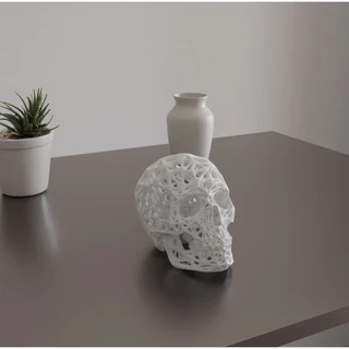 Crânio Humano Enfeite Decorativo Voronoi - Impressão 3D