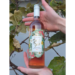 Vinho Moscatel Rosé Suave Frisante 750ml - Dolce Vita (Serra Gaúcha)