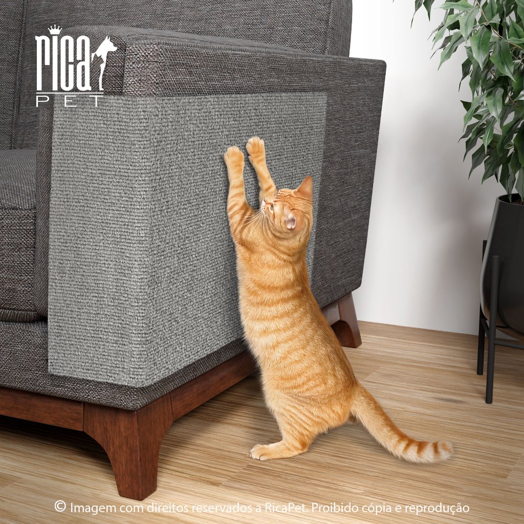 Arranhador Adesivo Premium: Sofá, Cama Box Móveis Para Gato - Protetor Pet