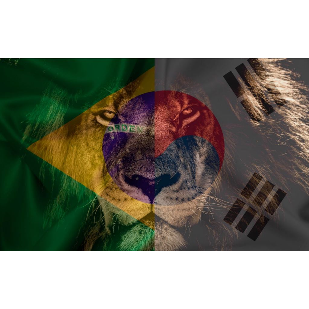 Bandeira Leão Brasil e Coreia do Sul Tecido Oxford Grande Diversos