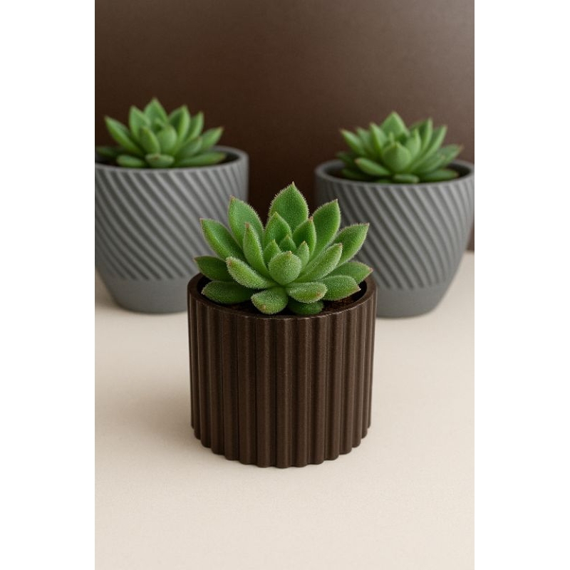 Kit 3 Mini Vasos Decorativos Pequenos para Suculentas - Vaso Decorativo ...