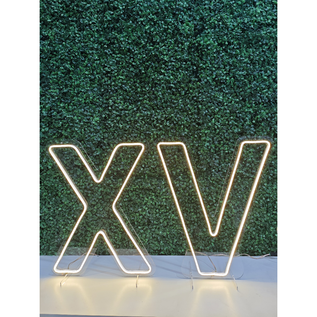Letreiro Neon Led XV Para Aniversário 50cm | Shopee Brasil