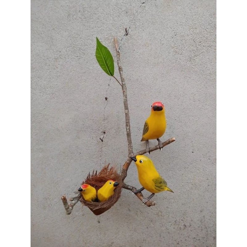 casal de canário c/filhote