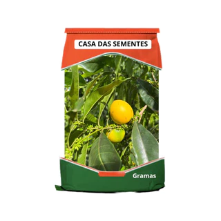 Abiu Amarelo Original 11 Sementes