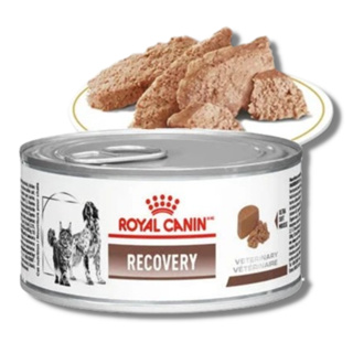 Recovery royal canin veterinary racao lata caes e gatos 195 g