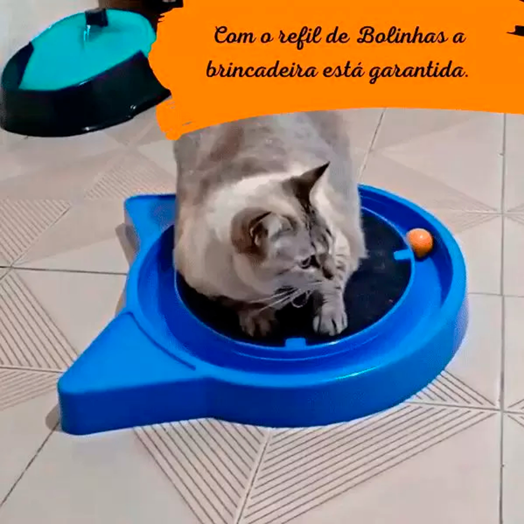 1pc Brinquedo Para Gatos Bola De Espuma EVA Macia Com Penas Bolas De  Brinquedo Coloridas Arco