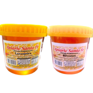 Mel de Laranjeira e Silvestre 500g - Apiário Santa Fé
