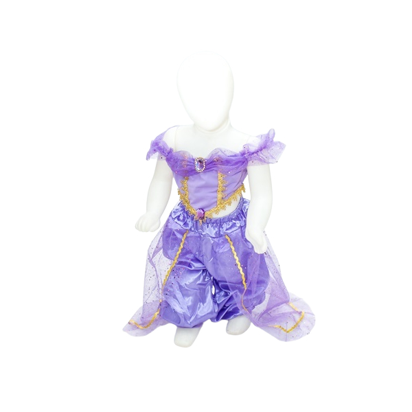 Vestido Infantil Lilás Lavanda Princesa Sofia Jasmine Ariel Tiara Luvas  Fantasia Carnaval Aniversário Temático Princesas Presente Menina Festa Luxo  Rodado