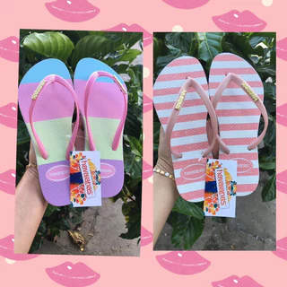 Chinelos Feminino Lançamento kit 2 pares Havaia