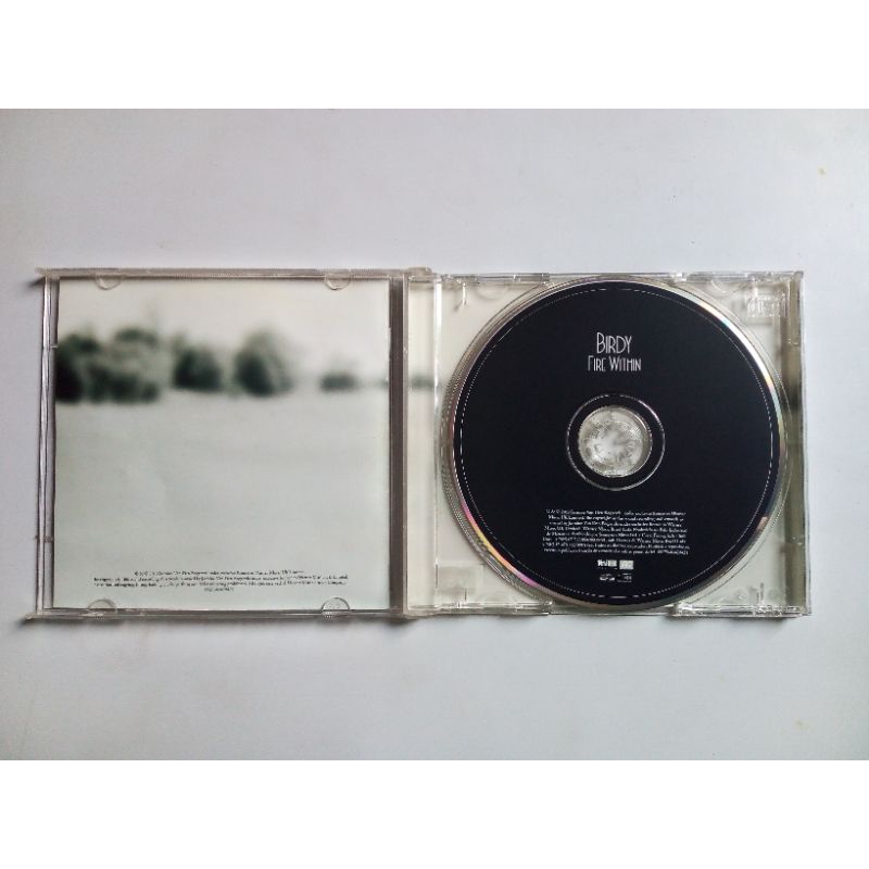 CD Birdy - Fire Within | Shopee Brasil
