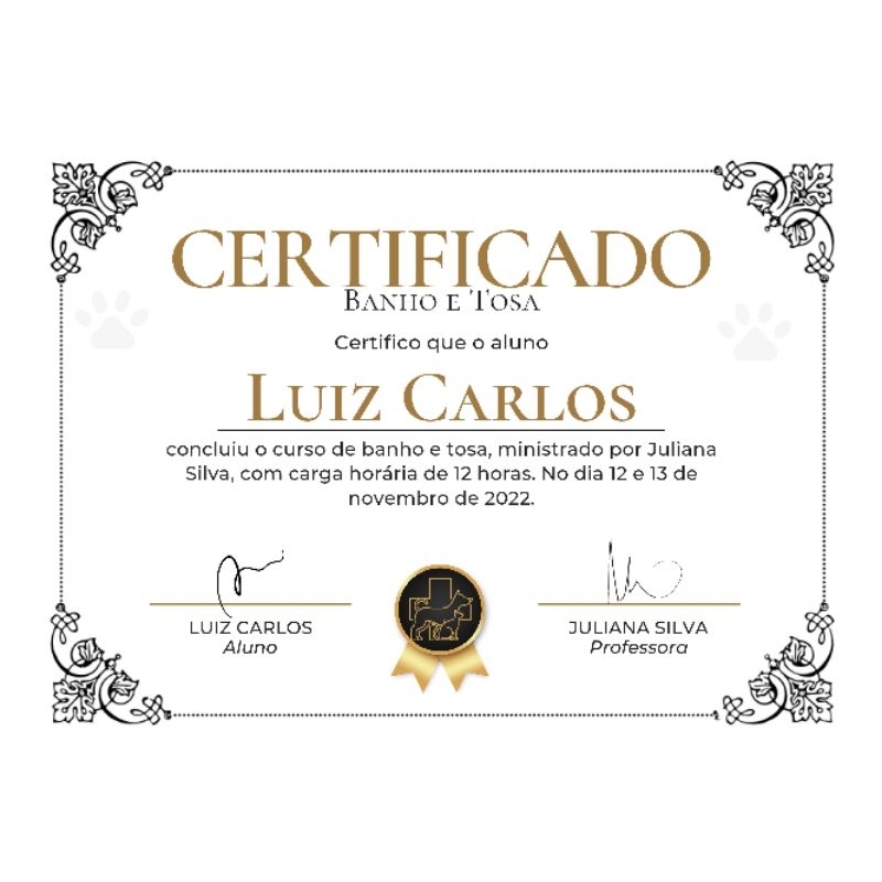 Impressão de diplomas e certificados em placas de metal (faculdade, escola, cursos)