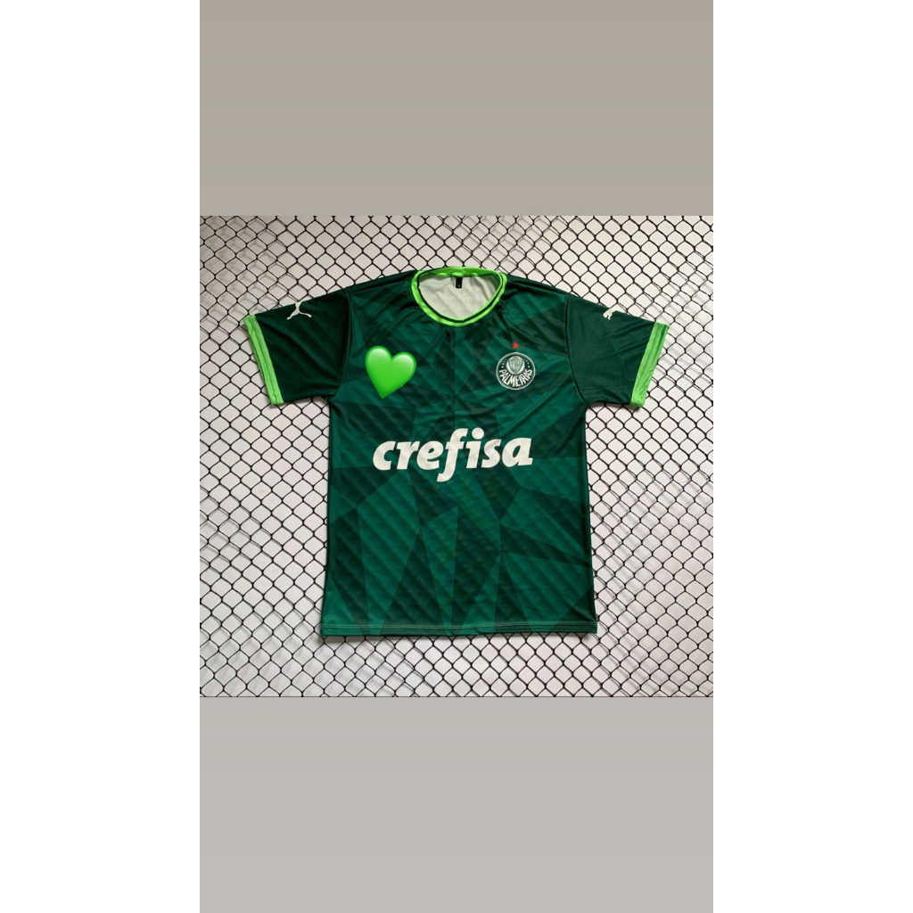 t-shirt camiseta palmeiras ♡ (png) em 2023