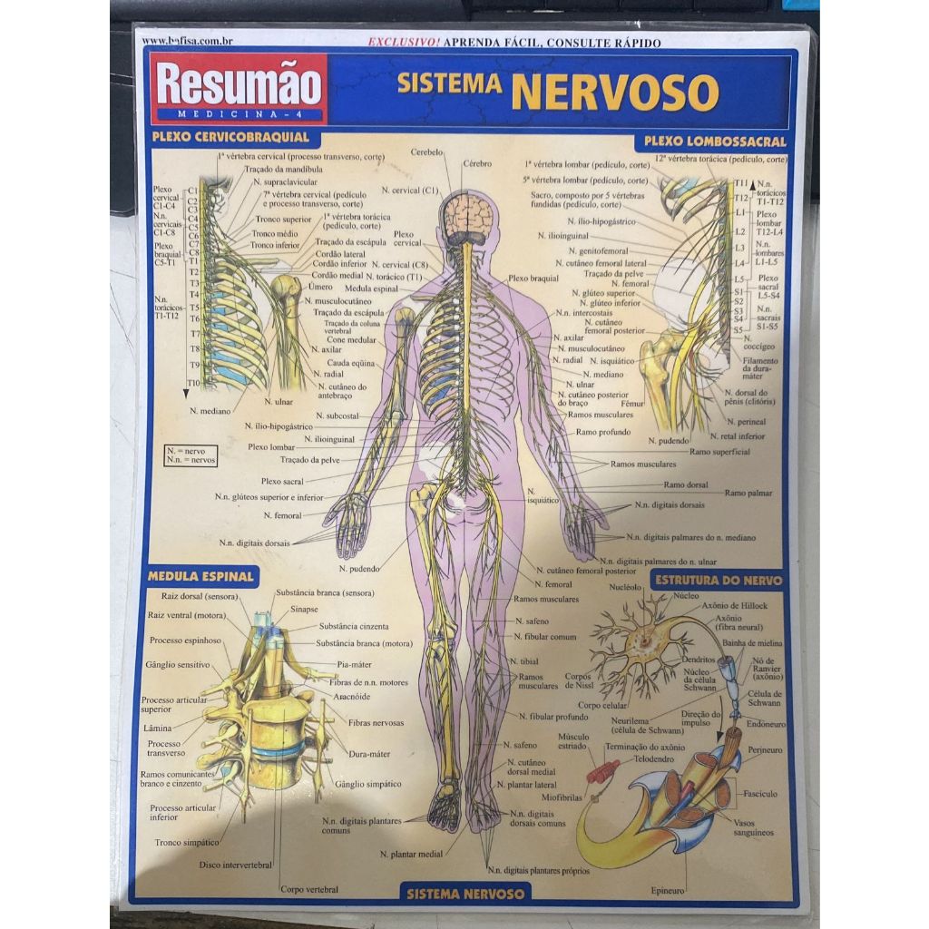 Livro Usado Resumão Medicinal 4 Sistema Nervoso Shopee Brasil