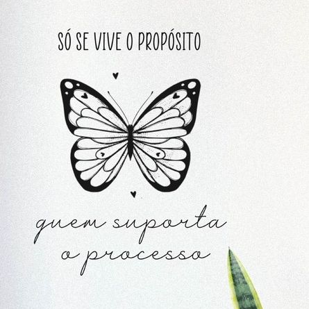 Adesivo de parede frase só se vive o propósito quem suporta o processo ...