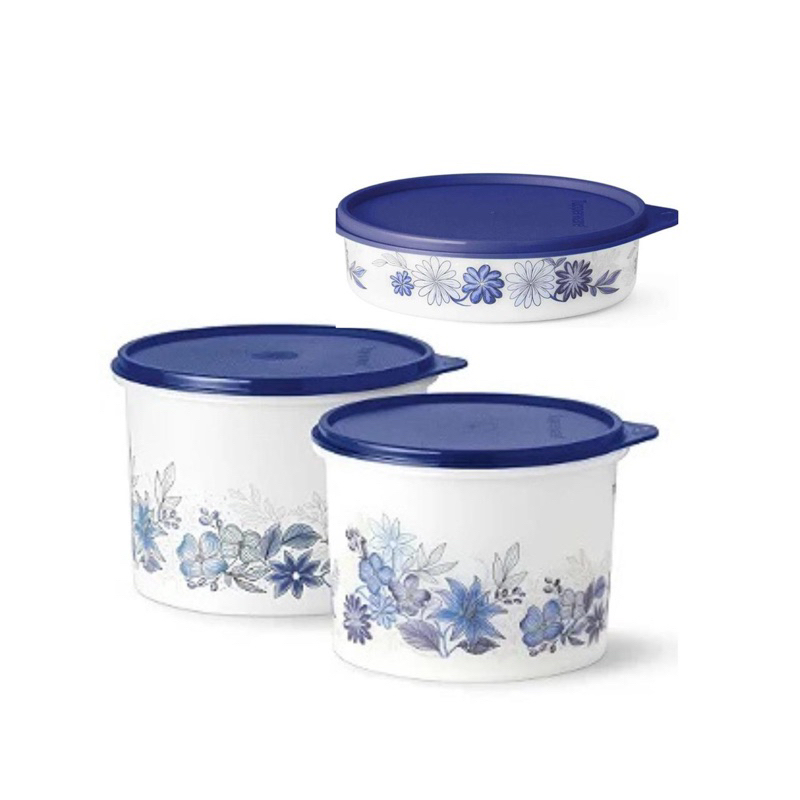 Kit Potes Aquarela Tupperware | Shopee Brasil
