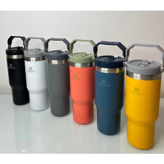 Garrafa Tumbler térmica com tampa e alça 600ml Aço inox